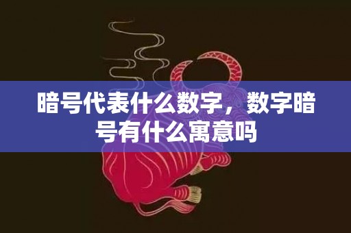 暗号代表什么数字，数字暗号有什么寓意吗