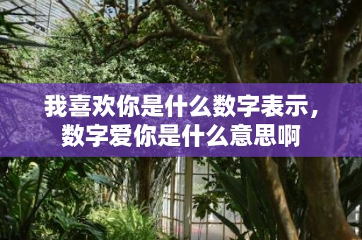 我喜欢你是什么数字表示，数字爱你是什么意思啊