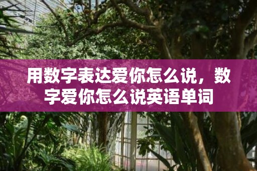 用数字表达爱你怎么说，数字爱你怎么说英语单词