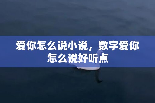 爱你怎么说小说，数字爱你怎么说好听点