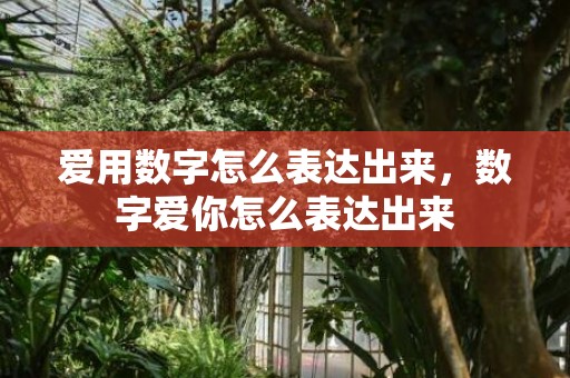爱用数字怎么表达出来，数字爱你怎么表达出来