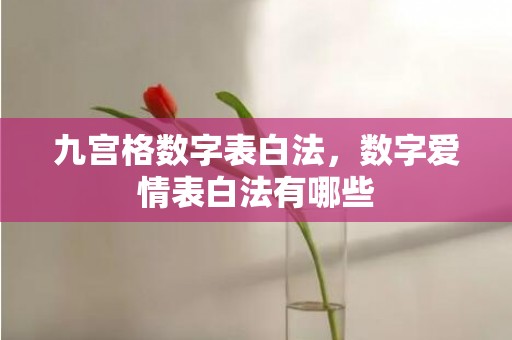 九宫格数字表白法，数字爱情表白法有哪些