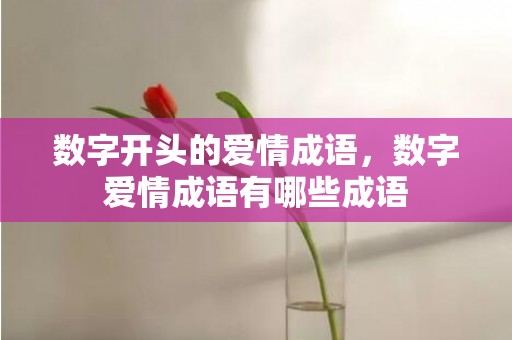 数字开头的爱情成语，数字爱情成语有哪些成语