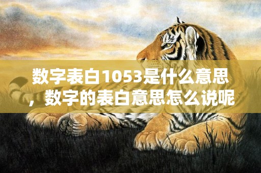 数字表白1053是什么意思，数字的表白意思怎么说呢