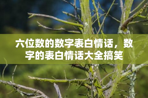 六位数的数字表白情话，数字的表白情话大全搞笑