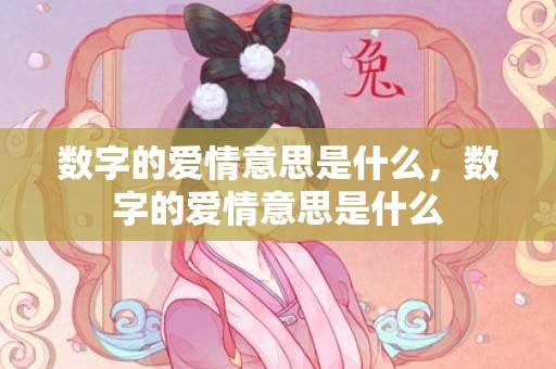 数字的爱情意思是什么，数字的爱情意思是什么