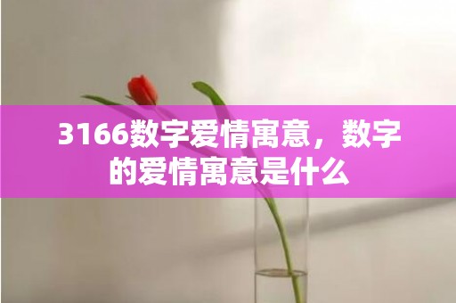 3166数字爱情寓意，数字的爱情寓意是什么