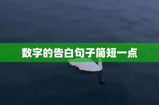 数字的告白句子简短一点