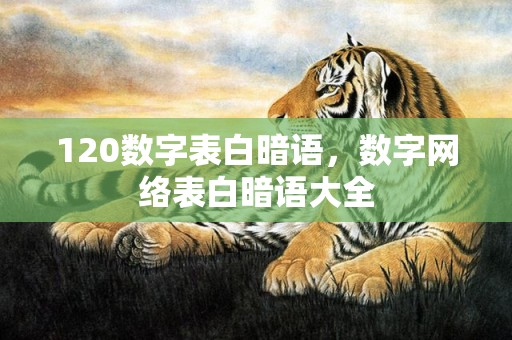120数字表白暗语，数字网络表白暗语大全
