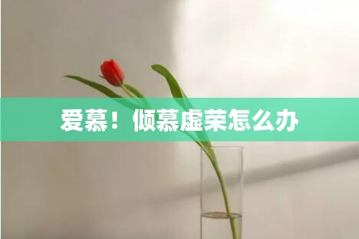 爱慕！倾慕虚荣怎么办