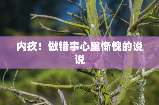 内疚！做错事心里惭愧的说说