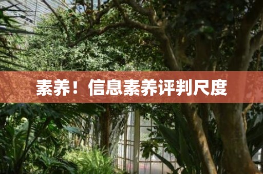 素养！信息素养评判尺度