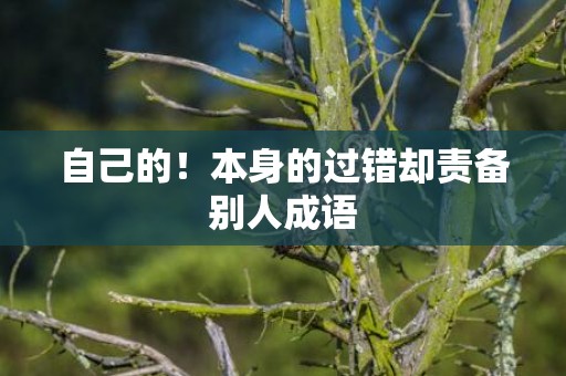 自己的！本身的过错却责备别人成语