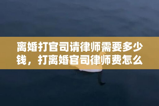 离婚打官司请律师需要多少钱，打离婚官司律师费怎么收
