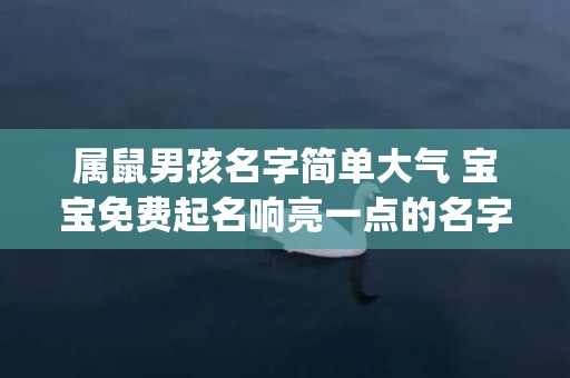 属鼠男孩名字简单大气 宝宝免费起名响亮一点的名字(属水土的男孩名字简单好记)