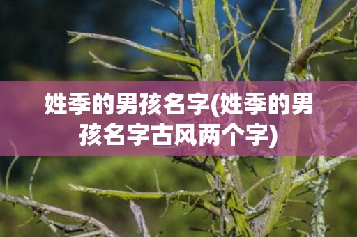 姓季的男孩名字(姓季的男孩名字古风两个字)