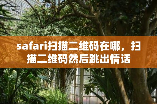 safari扫描二维码在哪，扫描二维码然后跳出情话