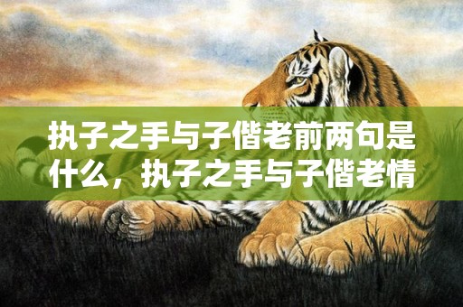执子之手与子偕老前两句是什么，执子之手与子偕老情诗