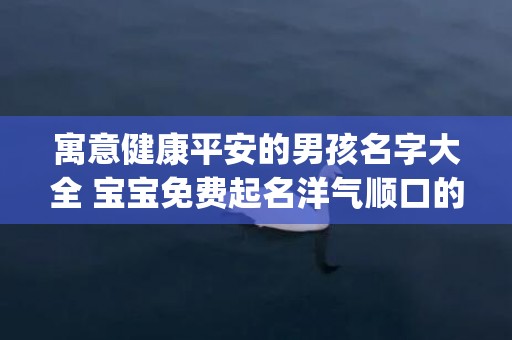 寓意健康平安的男孩名字大全 宝宝免费起名洋气顺口的名字(寓意健康平安的男孩乳名)