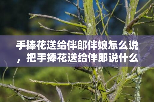 手捧花送给伴郎伴娘怎么说，把手捧花送给伴郎说什么