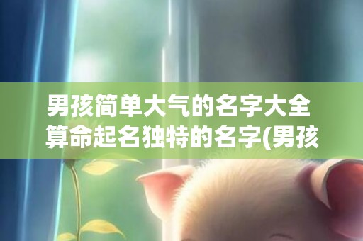 男孩简单大气的名字大全 算命起名独特的名字(男孩简单大气的名字两个字)