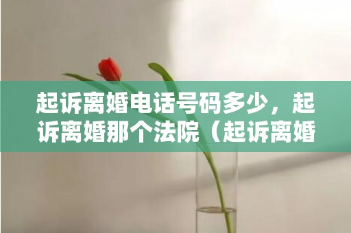 起诉离婚电话号码多少，起诉离婚那个法院（起诉离婚是去哪个法院）