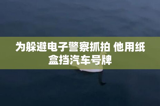 为躲避电子警察抓拍 他用纸盒挡汽车号牌