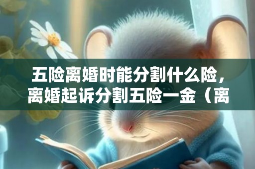 五险离婚时能分割什么险，离婚起诉分割五险一金（离婚时,男方的五险一金能分到吗）