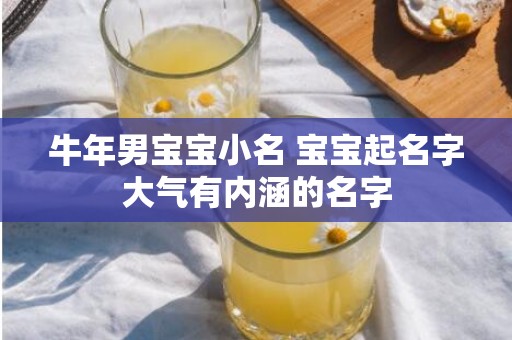 牛年男宝宝小名 宝宝起名字大气有内涵的名字