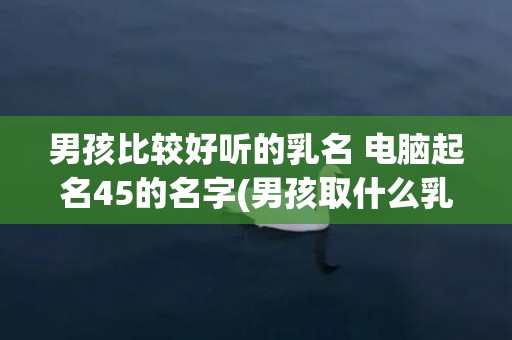 男孩比较好听的乳名 电脑起名45的名字(男孩取什么乳名字好听)