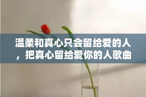 温柔和真心只会留给爱的人，把真心留给爱你的人歌曲