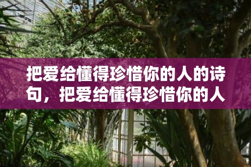把爱给懂得珍惜你的人的诗句，把爱给懂得珍惜你的人歌曲