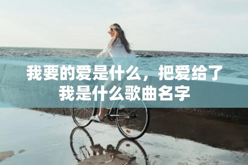 我要的爱是什么，把爱给了我是什么歌曲名字