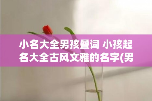 小名大全男孩叠词 小孩起名大全古风文雅的名字(男孩小名叠名大全)