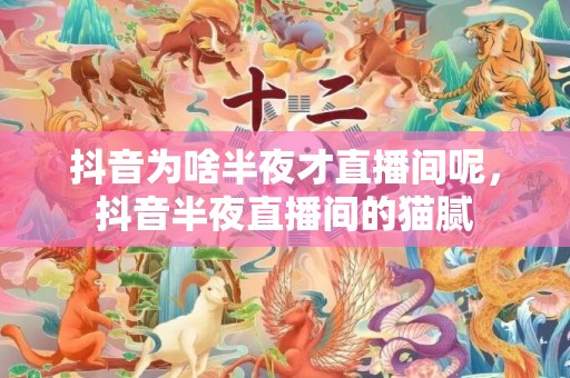 抖音为啥半夜才直播间呢，抖音半夜直播间的猫腻