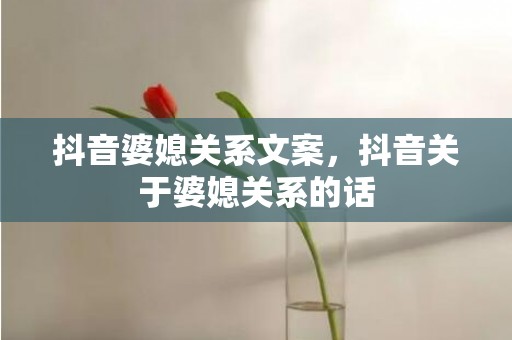 抖音婆媳关系文案，抖音关于婆媳关系的话