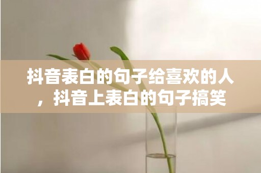 抖音表白的句子给喜欢的人，抖音上表白的句子搞笑