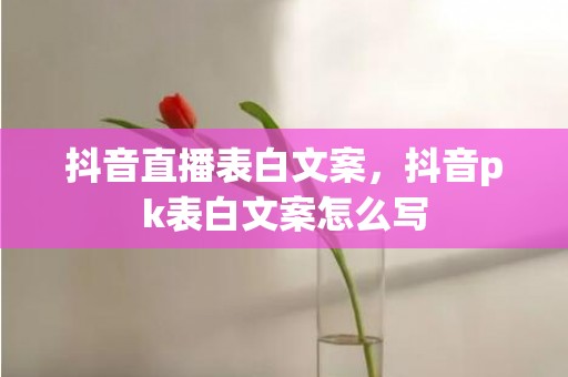 抖音直播表白文案，抖音pk表白文案怎么写