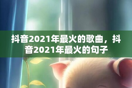 抖音2021年最火的歌曲，抖音2021年最火的句子