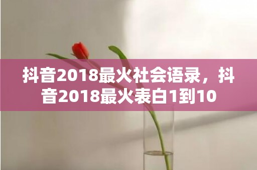 抖音2018最火社会语录，抖音2018最火表白1到10