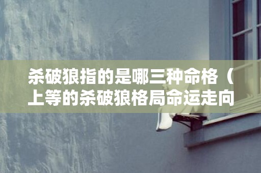 杀破狼指的是哪三种命格（上等的杀破狼格局命运走向及大吉代表）