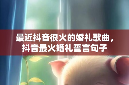 最近抖音很火的婚礼歌曲，抖音最火婚礼誓言句子