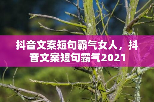 抖音文案短句霸气女人，抖音文案短句霸气2021