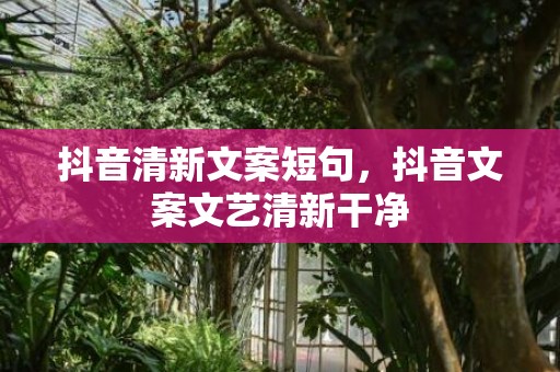 抖音清新文案短句，抖音文案文艺清新干净