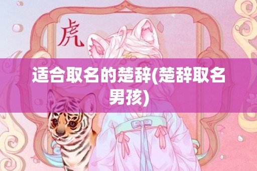 适合取名的楚辞(楚辞取名男孩)