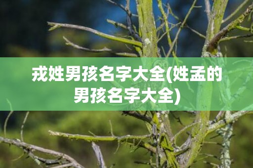 戎姓男孩名字大全(姓孟的男孩名字大全)