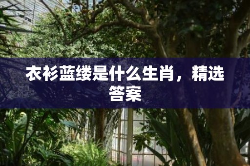 衣衫蓝缕是什么生肖，精选答案