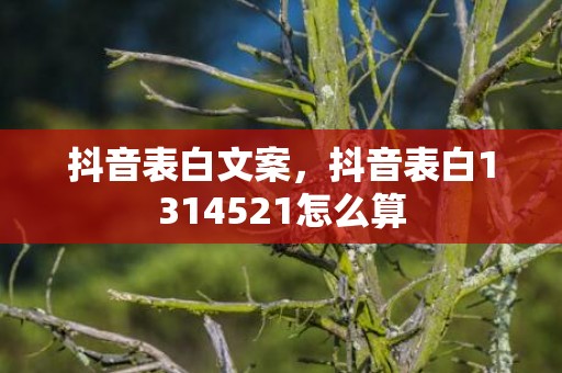 抖音表白文案，抖音表白1314521怎么算