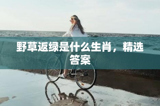 野草返绿是什么生肖，精选答案