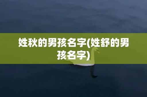 姓秋的男孩名字(姓舒的男孩名字)